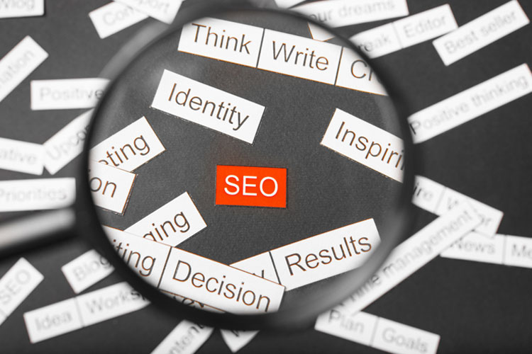 Importance of SEO in 2023…